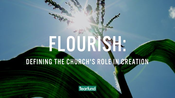 Flourish: Defining the Church's Role in Creation