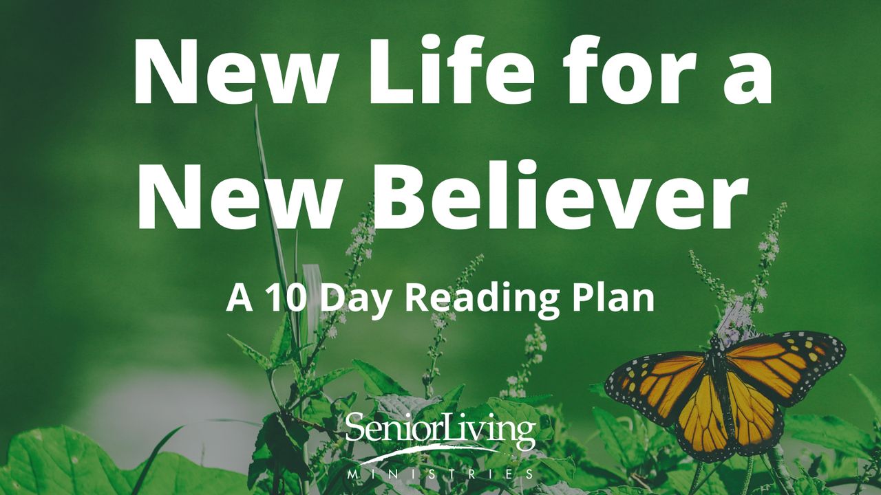 New Life For A New Believer new-life-for-a-new-believer