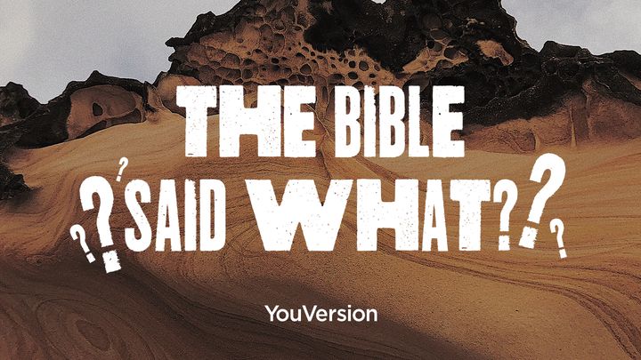 The Bible Said What?