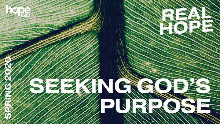 Real Hope: Seeking God's Purpose