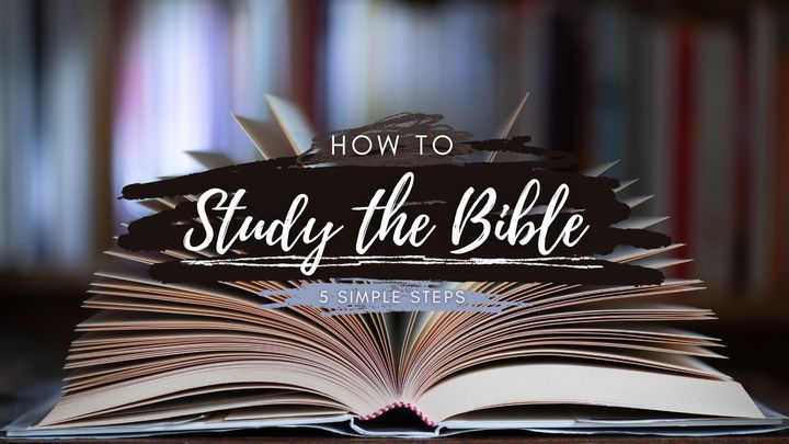 How to Study the Bible: 5 Simple Steps