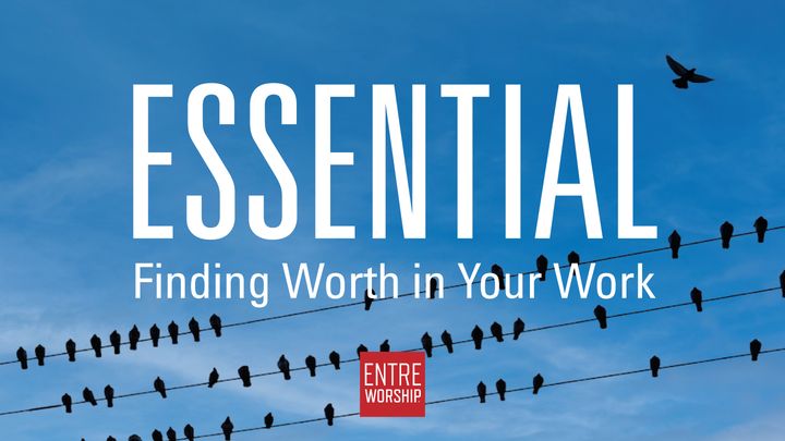Essential: Finding Worth in Your Work
