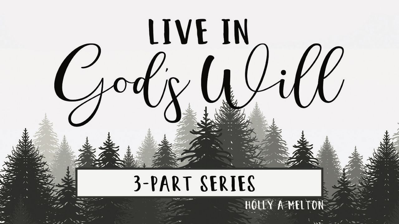 Live in God's Will - Day 1 of 15