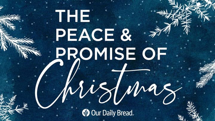 The Peace and Promise of Christmas