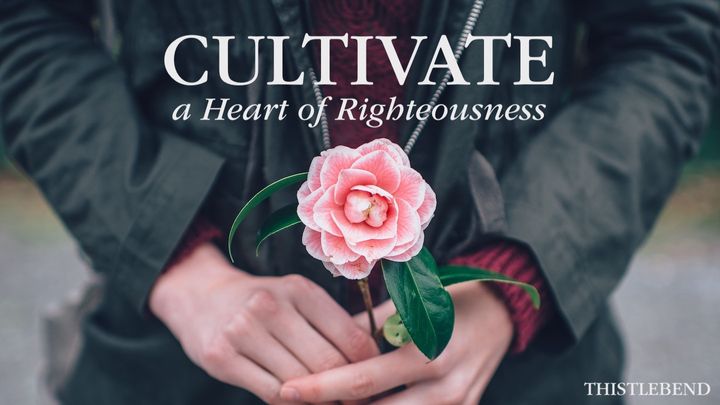 Cultivate a Heart of Righteousness!