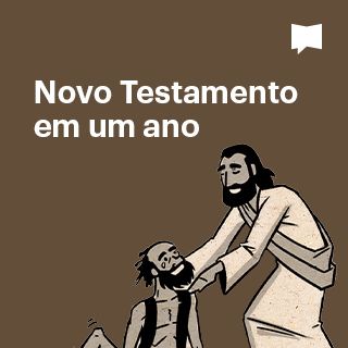 Novo Testamento em um ano