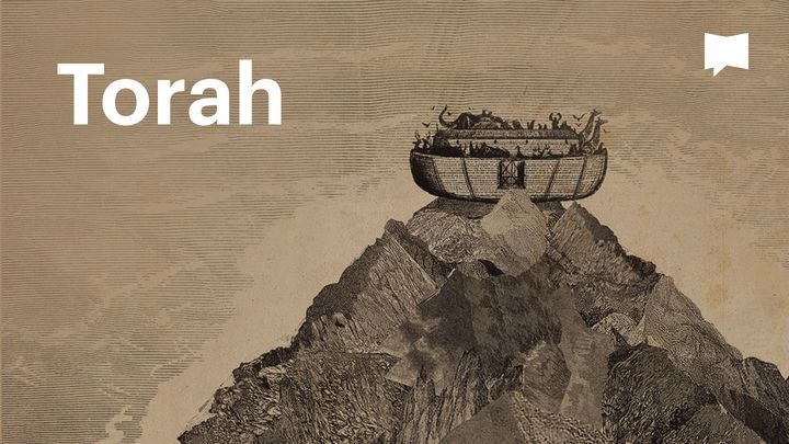 BibleProject |Torah