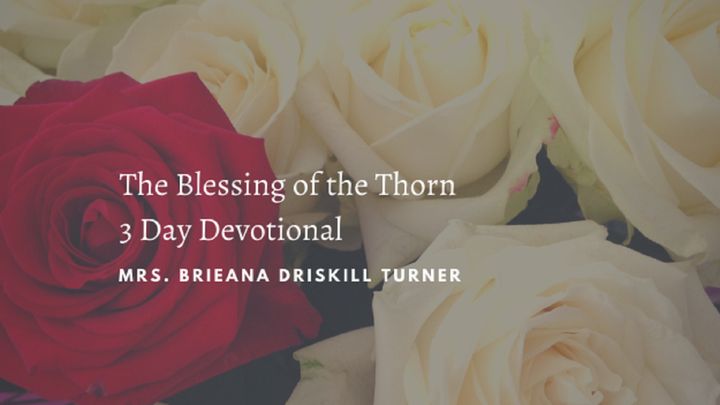 3 Lessons of the Blessing of the Thorn