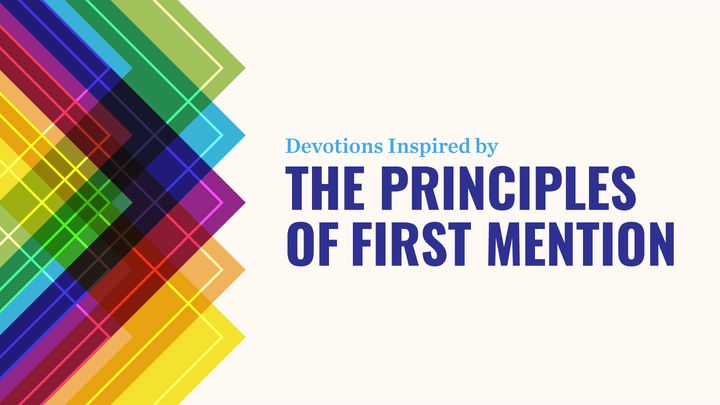 The Principles of First Mention