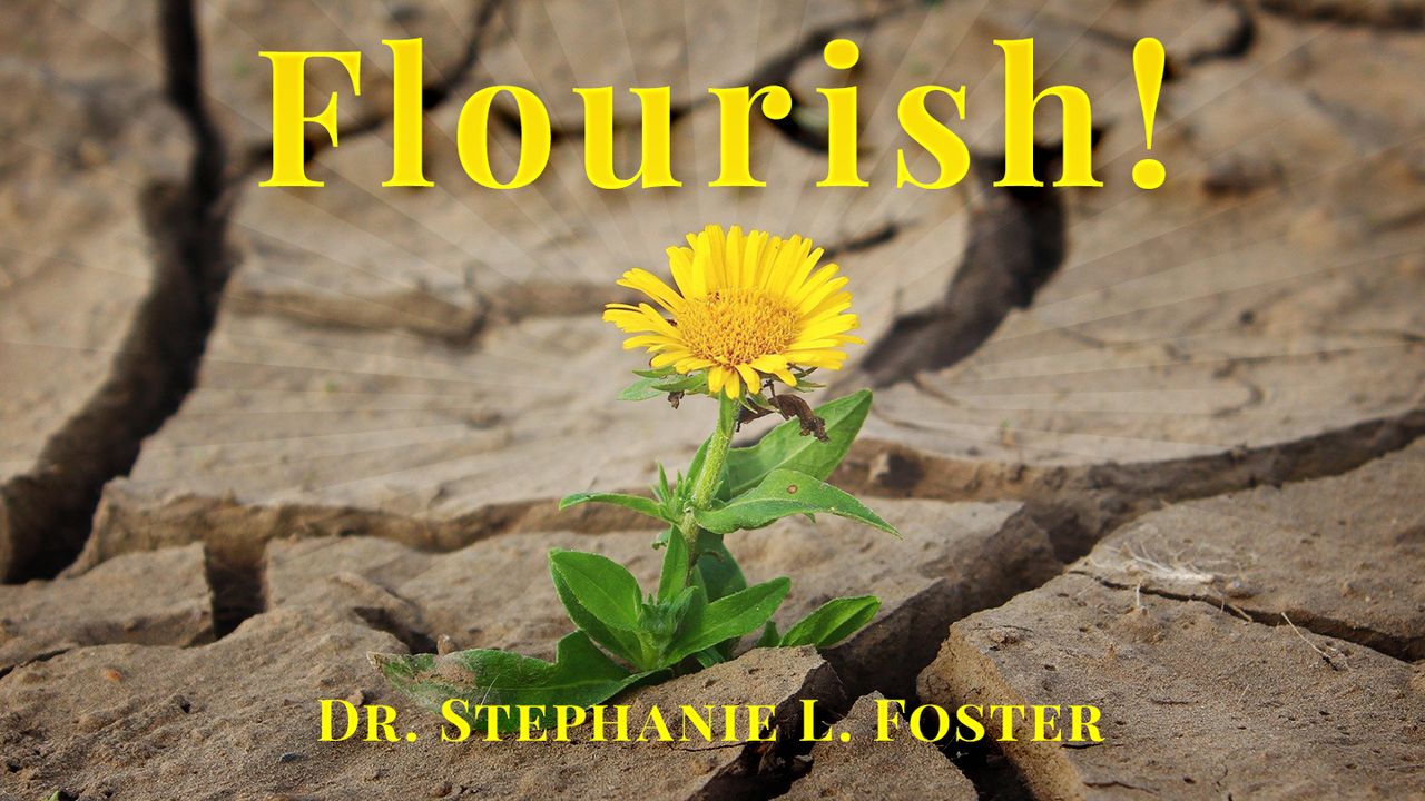 Flourish! The Bible App