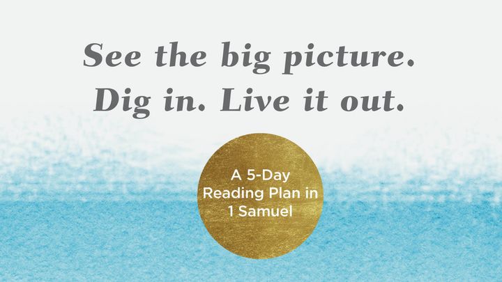See the Big Picture. Dig In. Live It Out: A 5-Day Reading Plan in 1 Samuel