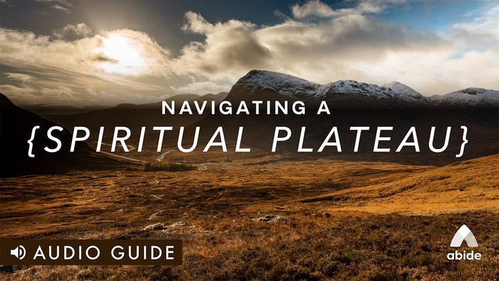 Navigating a Spiritual Plateau