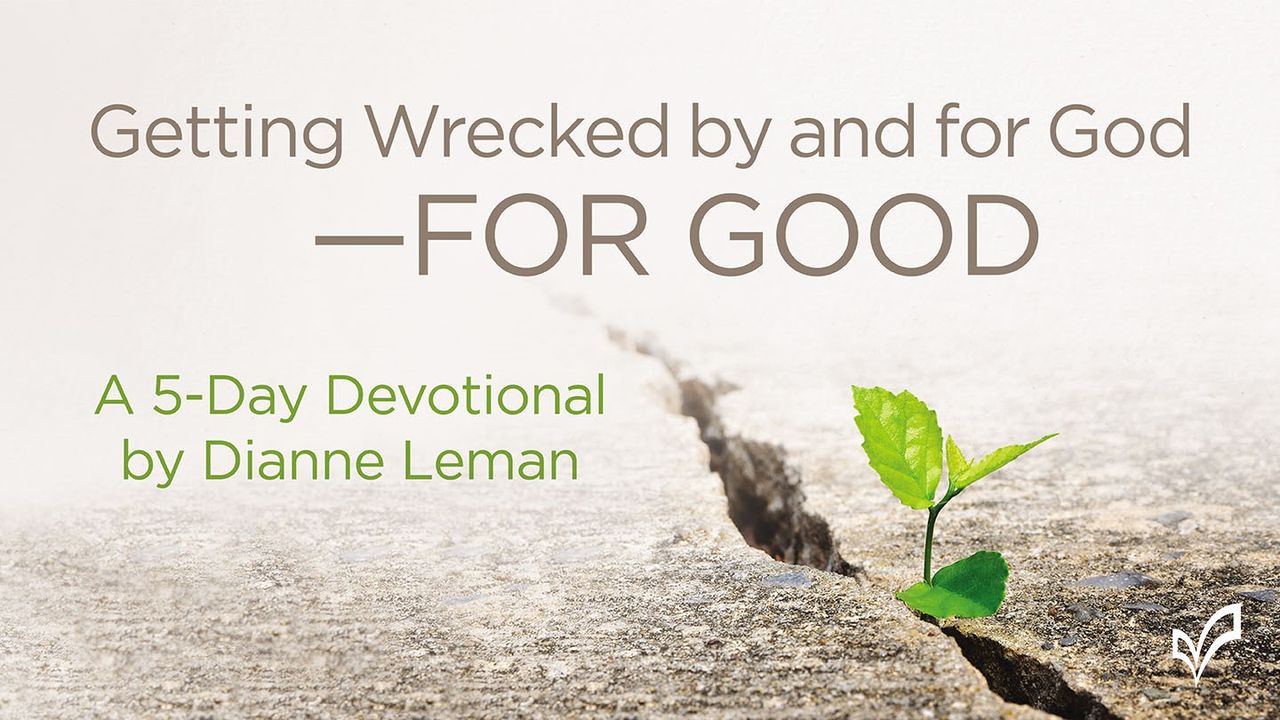 Getting Wrecked Getting Wrecked by and for God—for Good