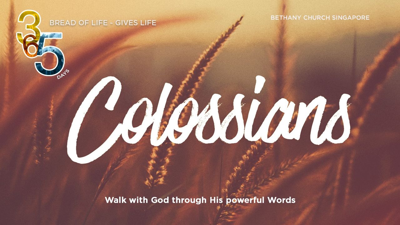 Book Of Colossians