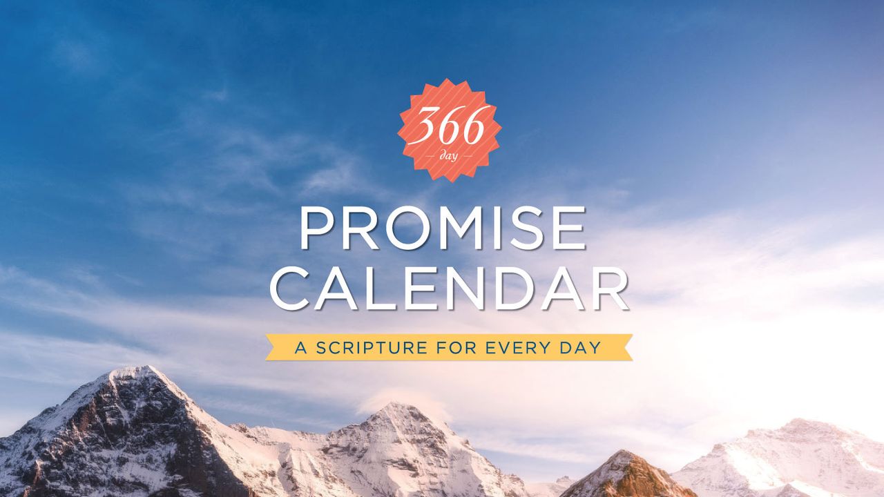 365 Days of Promise - Bible App