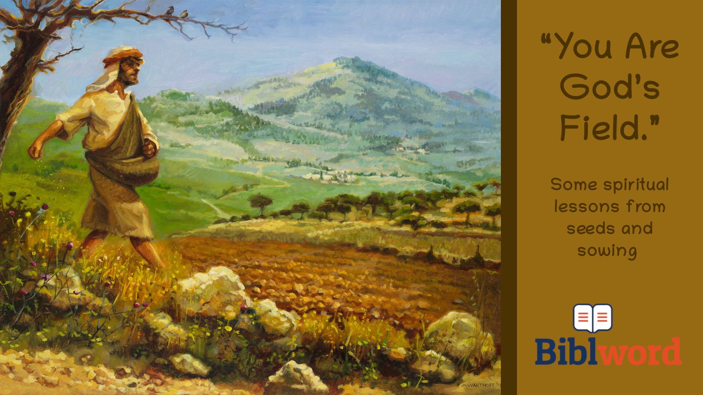 Sowing Seeds Bible Verse