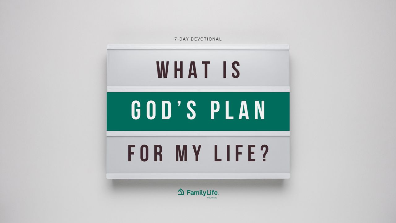 what-is-god-s-plan-for-my-life-the-bible-app-bible