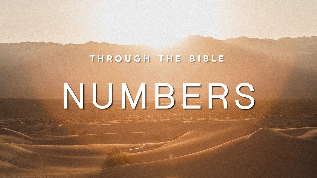 Through The Bible Numbers