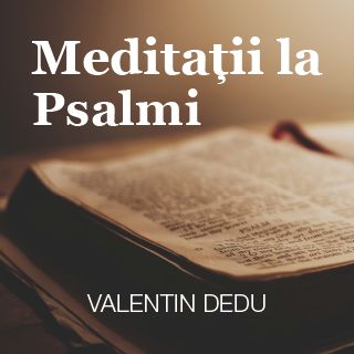 Meditații La Psalmi
