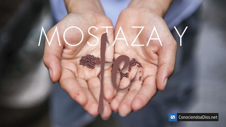 Mostaza Y Fe