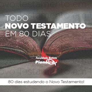 Todo Novo Testamento Em 80 Dias