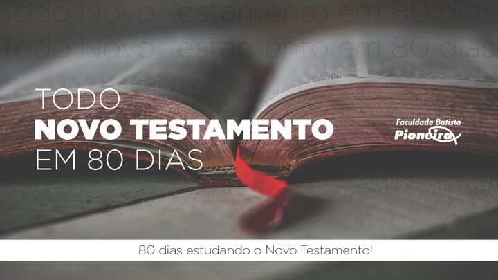 Todo Novo Testamento Em 80 Dias