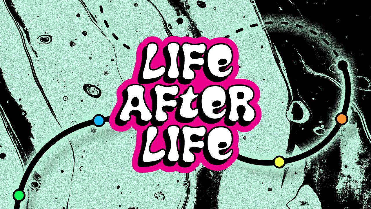 Life After Life