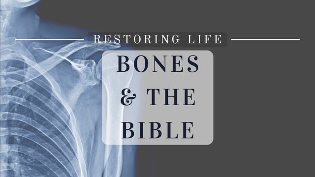 Restoring Life Bones And The Bible Devotional Reading Plan