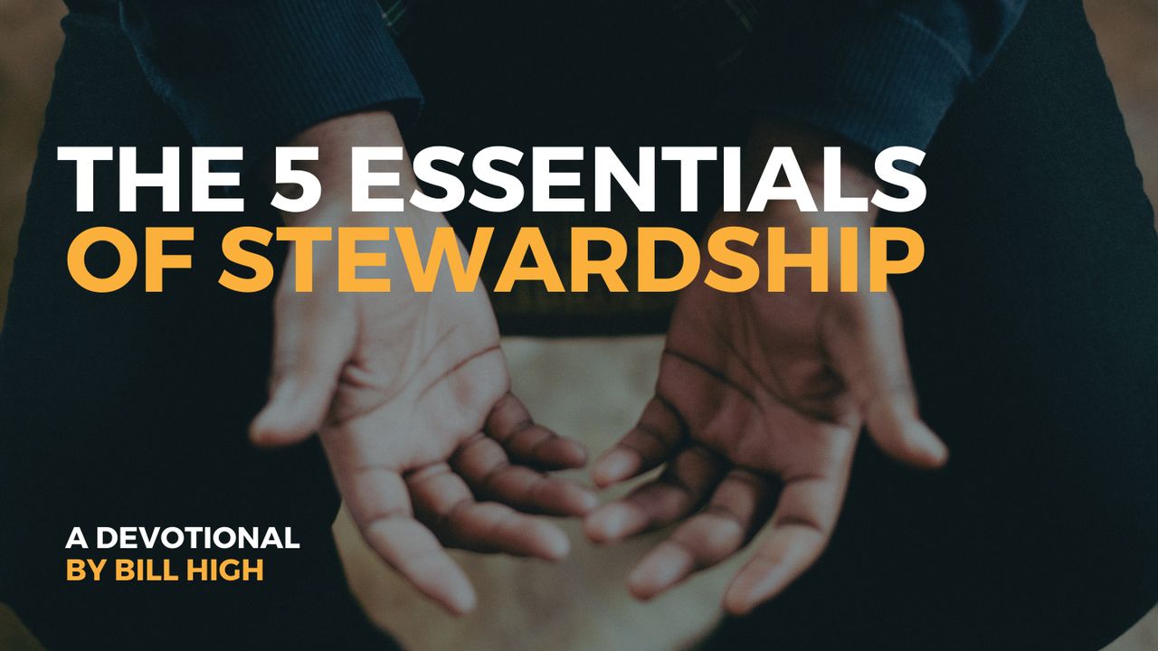 stewardship-on-vimeo