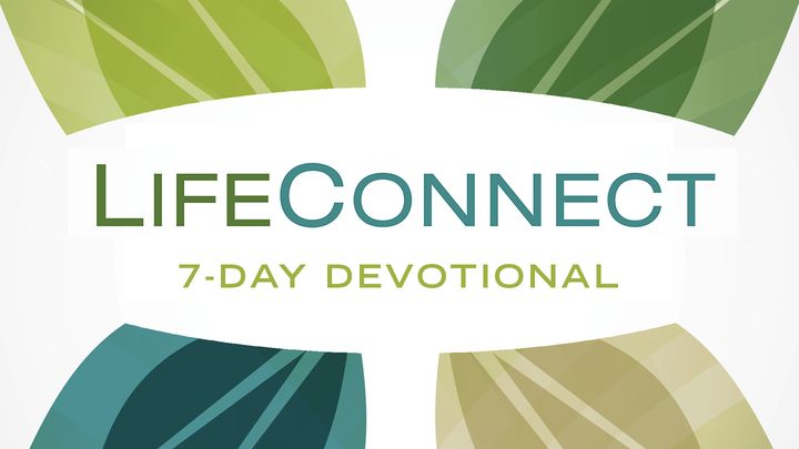 LifeConnect Devotionals by Wayne Cordeiro