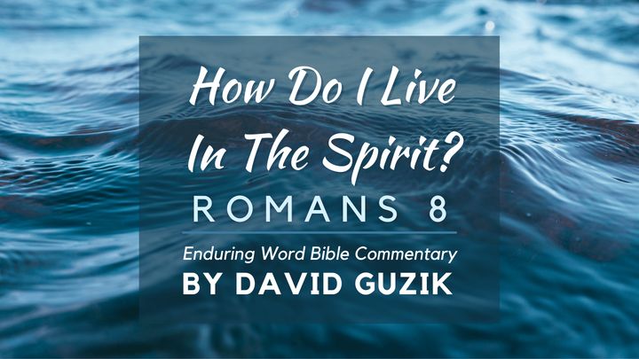 How Do I Live in the Spirit?: Bible Commentary on Romans 8