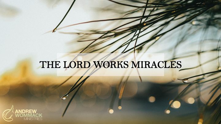 The Lord Works Miracles