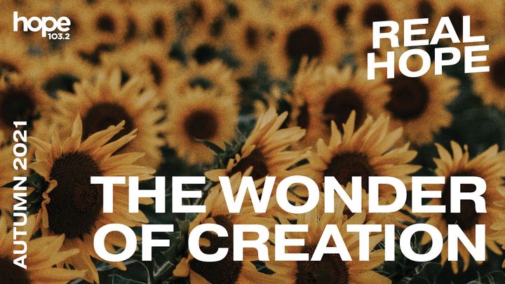 Real Hope: The Wonder of Creation