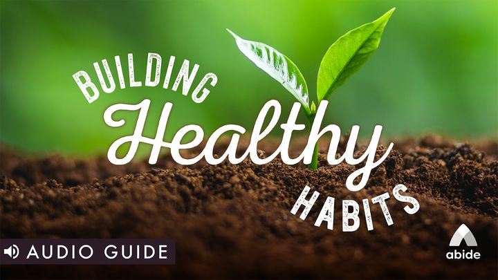 Building Healthy Habits