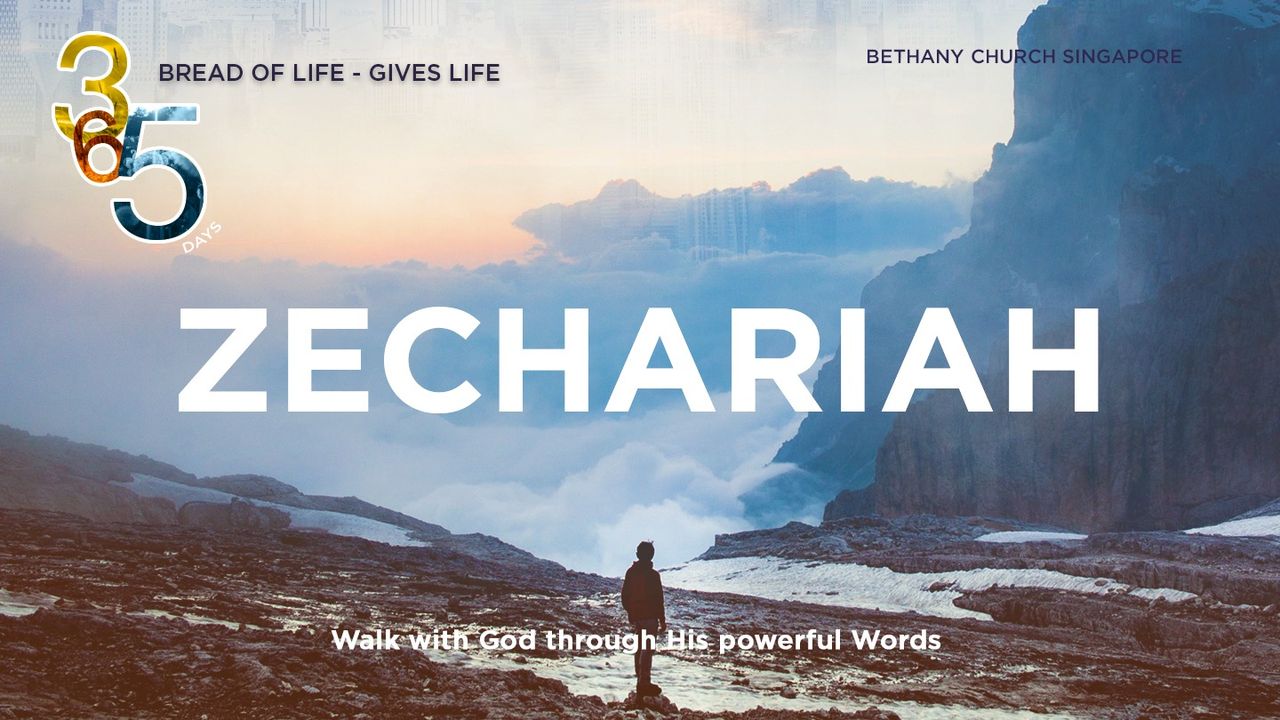 Book Of Zechariah | The Bible App | Bible.com