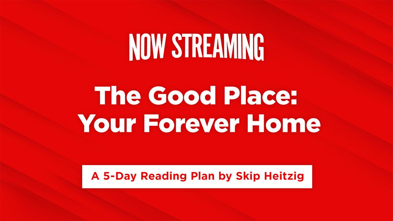 now-streaming-week-3-the-good-place