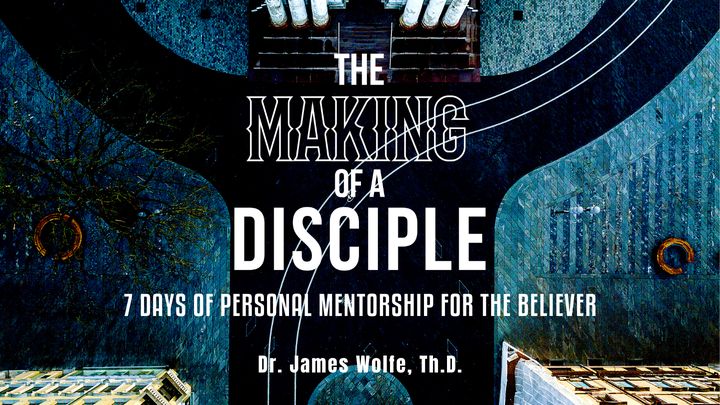 The Making of a Disciple - 7 Days of Mentorship