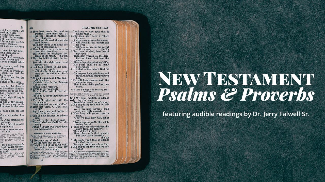 NEW Illustrating Bible Psalms/Proverbs  Let's put these pages to the test!  