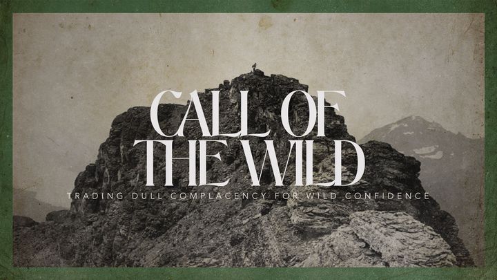 Call of the Wild:  a Journey Through the Book of James
