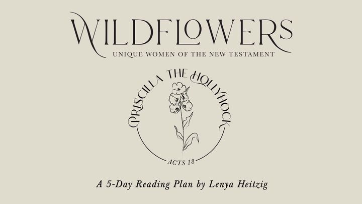 Wildflowers Week Four | Priscilla the Hollyhock