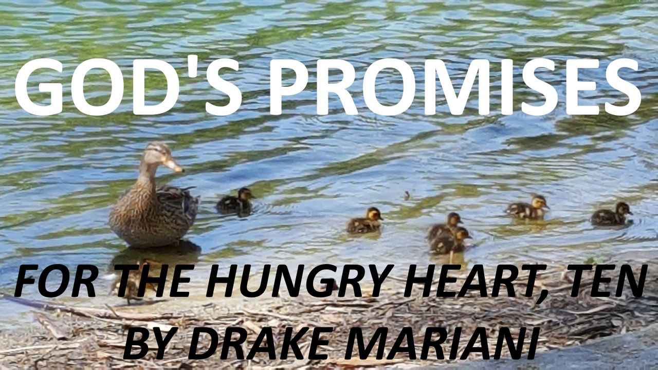 God S Promises For The Hungry Heart Ten