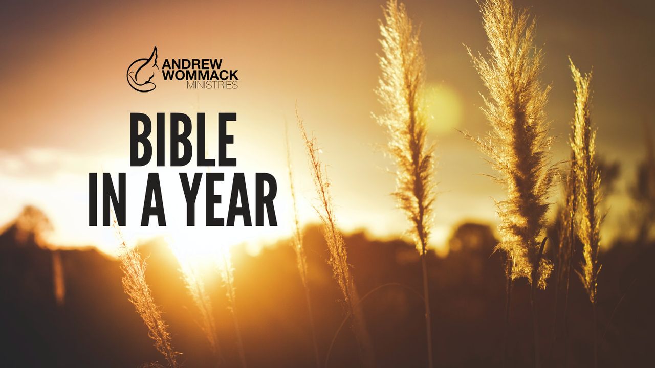 Read the bible in a year with andrew wommack