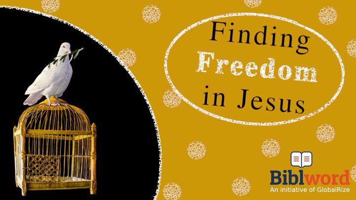 Finding Freedom in Jesus