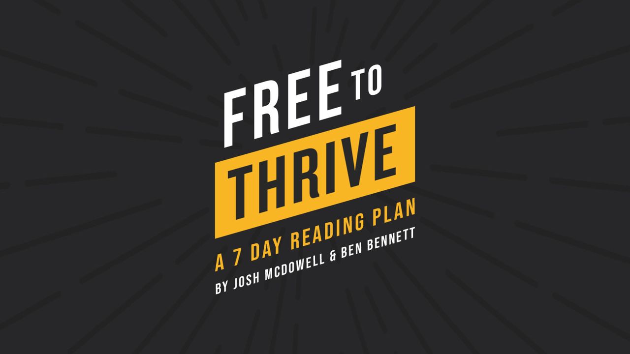 Free to Thrive: How Your Hurt, Struggles & Deepest Longings Can Lead to ...