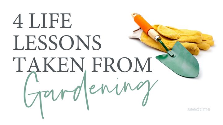 4 Biblical Lessons From Your Garden