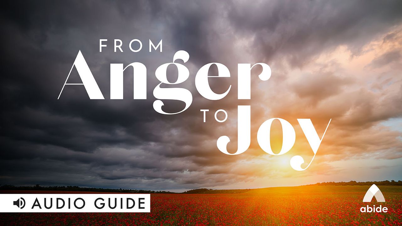 Joy anger. Secondary emotions.