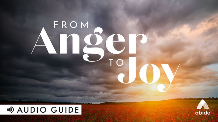 From Anger to Joy