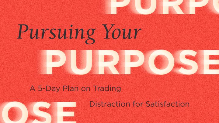 Pursuing Your Purpose