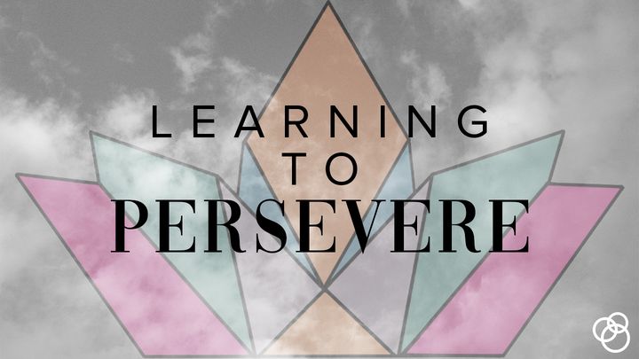 Learning to Persevere