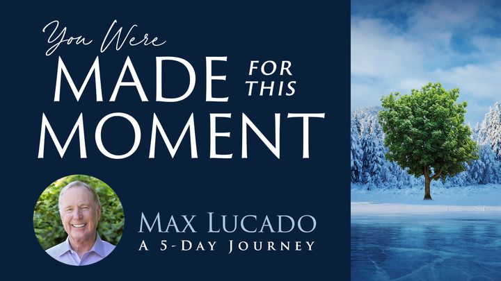 You Were Made for This Moment: A 5-Day Journey